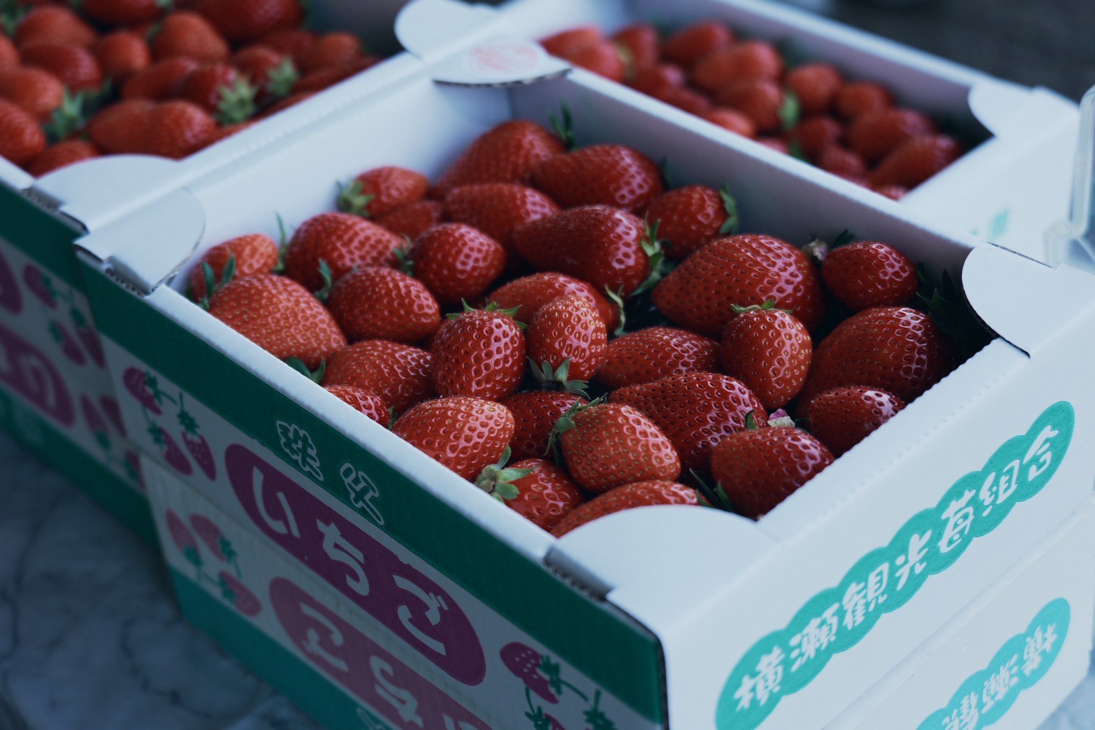 箱詰めいちごの直売