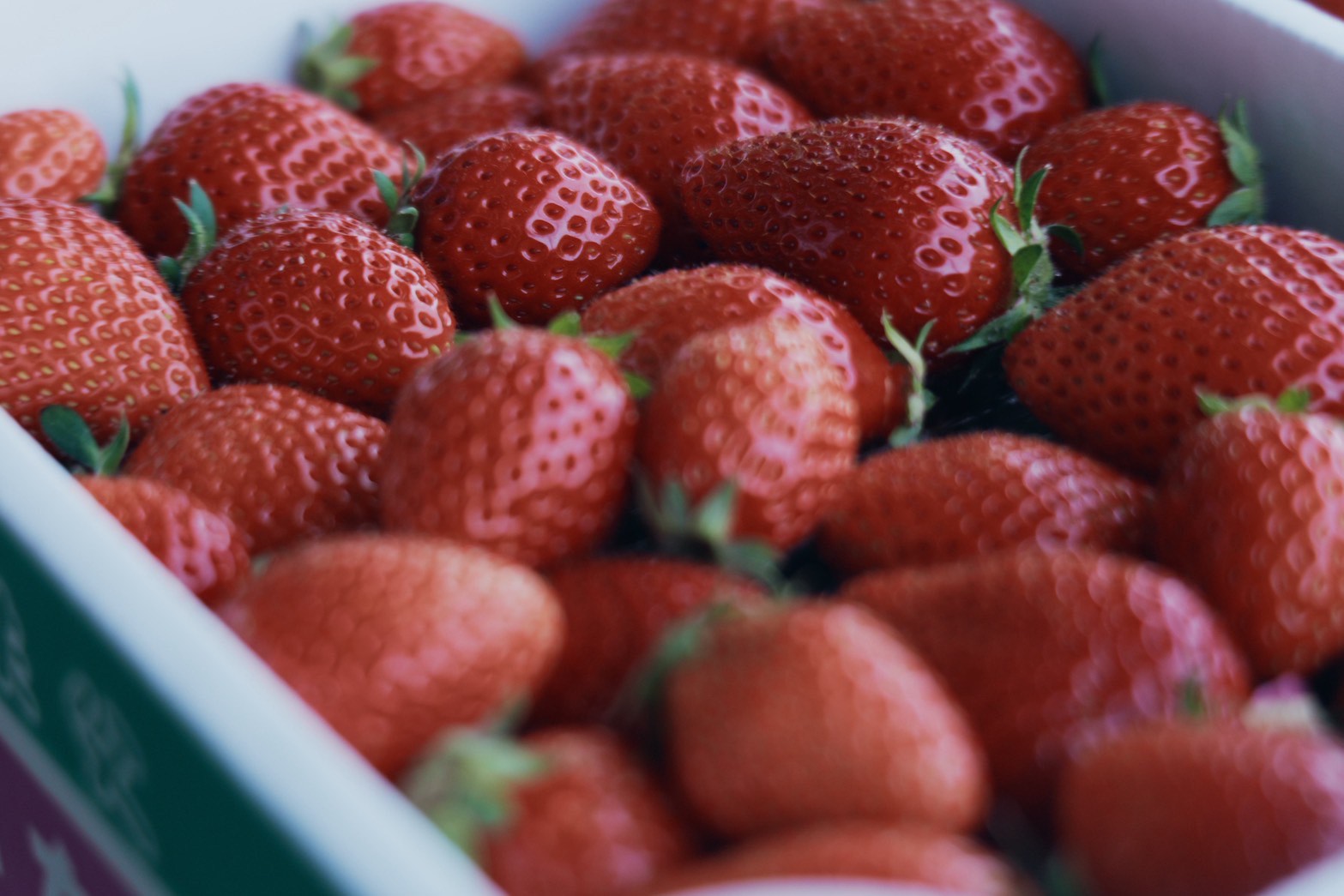 お土産用パック