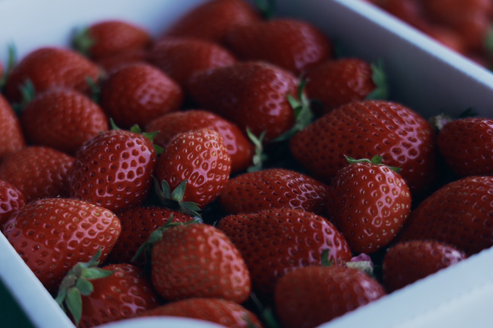 摘みたていちご