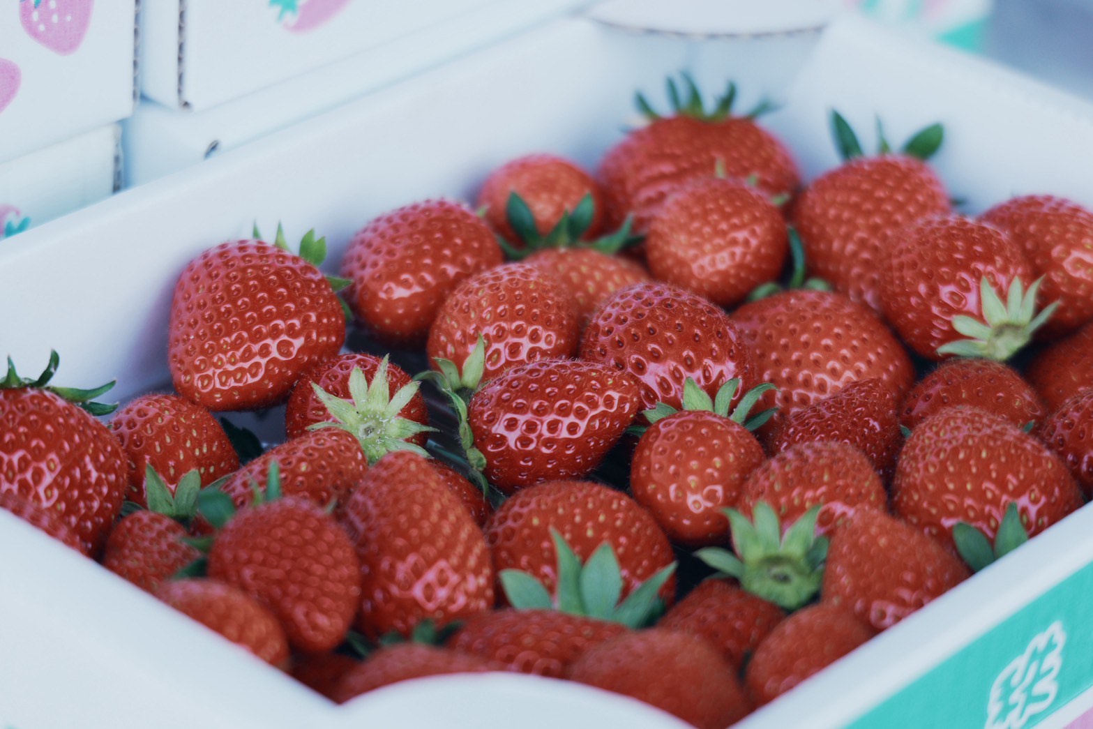 パック詰めの完熟いちご